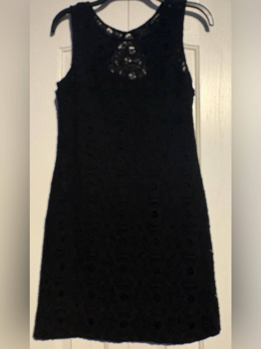 Source Unknown Black Sleeveless Lace Mini Dress